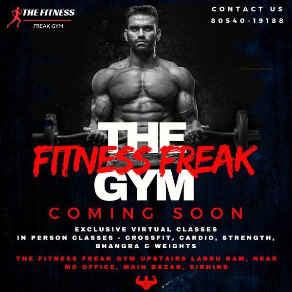 The Fitness Freak Gym