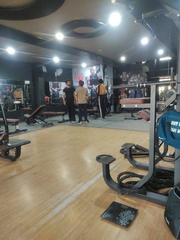 The Fitness Freak Gym