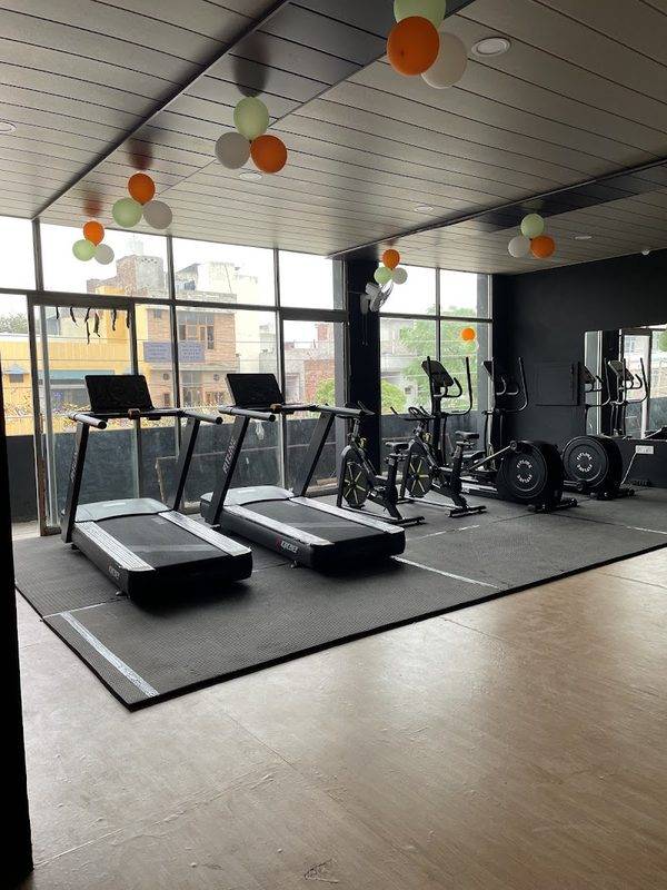 The Fitness Freak Gym