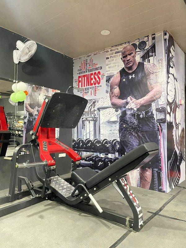 The Fitness Freak Gym